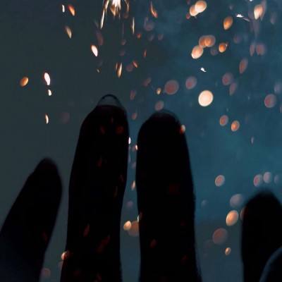 宠物时尚美容院